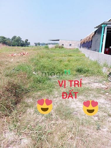 Hình ảnh Bán đất đường 2! Đức hòa giá 1t950 triệu
