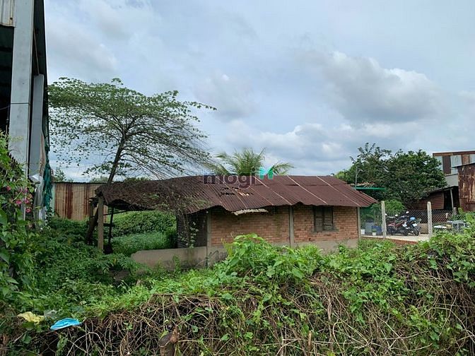 Hình ảnh Bán đất Full thổ cư 250m2, hẻm Dương Đình Cúc, xã Tân Kiên, Bình Chánh