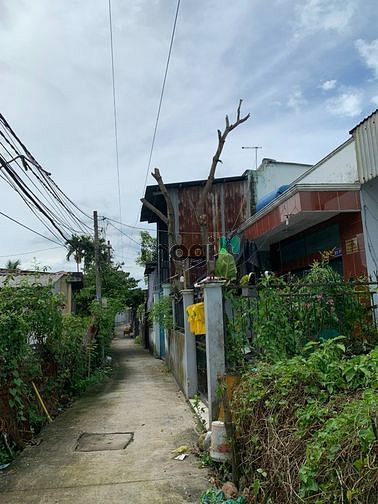 Hình ảnh Bán đất Full thổ cư 250m2, hẻm Dương Đình Cúc, xã Tân Kiên, Bình Chánh