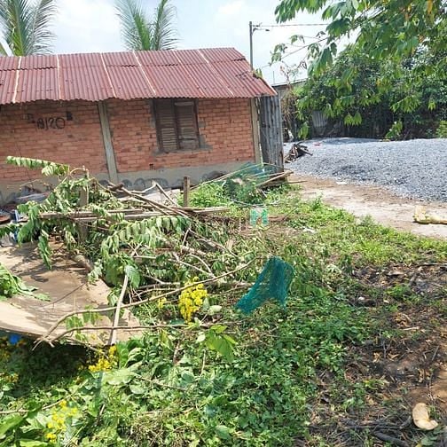 Hình ảnh Bán đất Full thổ cư 250m2, hẻm Dương Đình Cúc, xã Tân Kiên, Bình Chánh