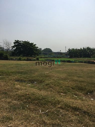 Hình ảnh Cần cho thuê đất Mt đường số 17 t thới an, quận 12