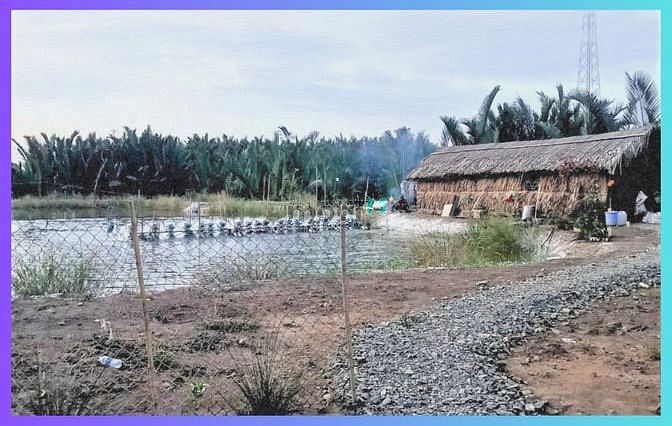 Hình ảnh Bán lô đất 4270m2 cách phà Bình Khánh Cần Giờ 2km, giá 1,7tỷ/1000m