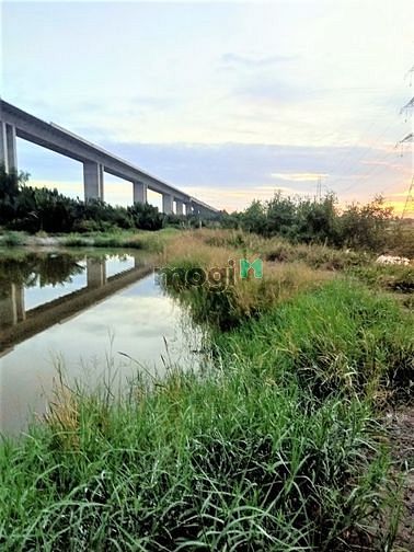 Hình ảnh Bán lô đất 4270m2 cách phà Bình Khánh Cần Giờ 2km, giá 1,7tỷ/1000m