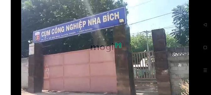 Hình ảnh 10*24 240m2 Thổ Cư - Sổ Sẵn, Đô thị Du Lịch Sinh Thái, Chơn Thành.BP