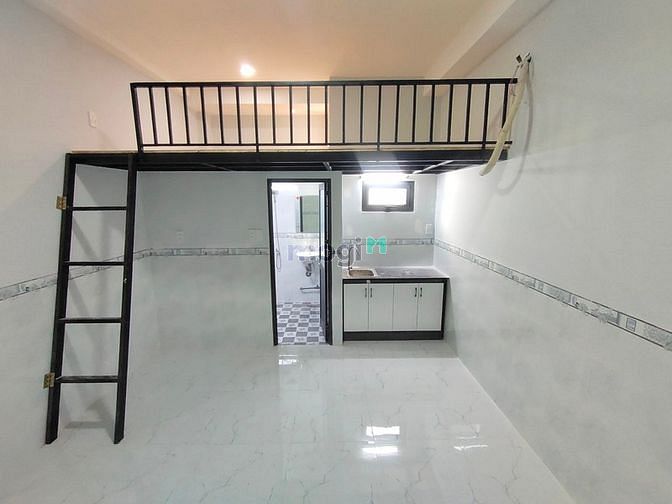 Hình ảnh Khai trương CHDV ngay vườn lài tân phú