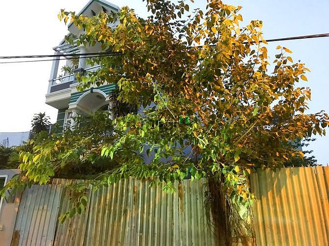 Hình ảnh Đất hẻm xe hơi kinh doanh Nguyễn Văn Lượng 5x10m