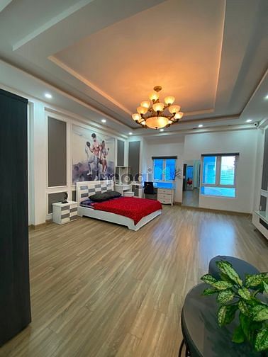 Hình ảnh Studio new seal siêu lớn gần Bệnh Viện Bình Dân