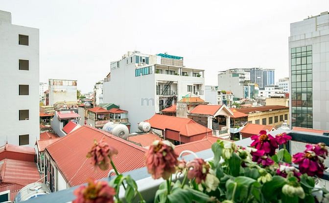 Hình ảnh 13C /41 Linh lang cho thuê Trang Chủ MB66.COM / Đăng Ký Tặng 66K 19 triệu