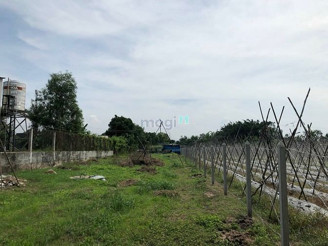Hình ảnh Đất biệt thự ngay KCN Tân Phú Trung