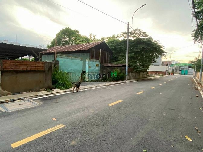Hình ảnh BDS HUNGVILAND Cho thuê đất làm xưởng đường 1A Long Thạnh Mỹ TĐ 19/03