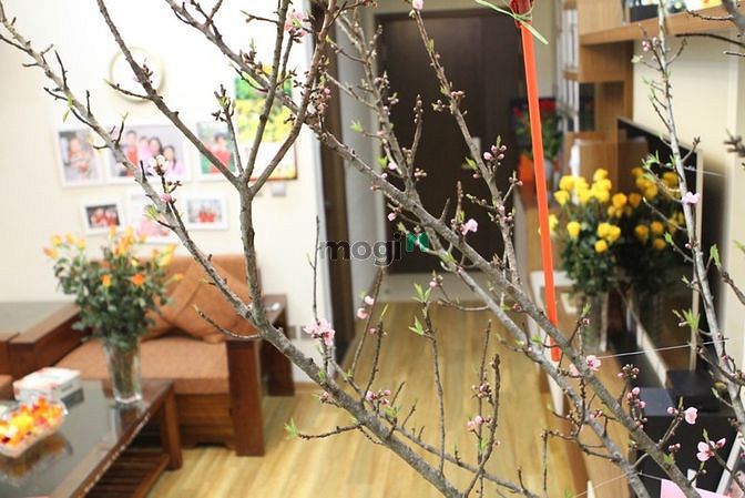 Hình ảnh Bán CHCC Tràng An complex giá 3.85 tỷ 81m2 2PN2WC nội thất cao cấp