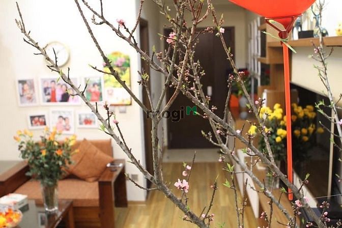 Hình ảnh Bán CHCC Tràng An complex giá 3.85 tỷ 81m2 2PN2WC nội thất cao cấp