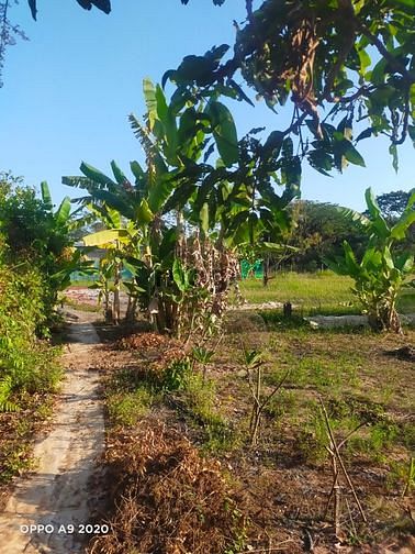 Hình ảnh Bán đất 2 mặt tiền Cầu Đình Long Phước quận 9 15000m2 172 tỷ