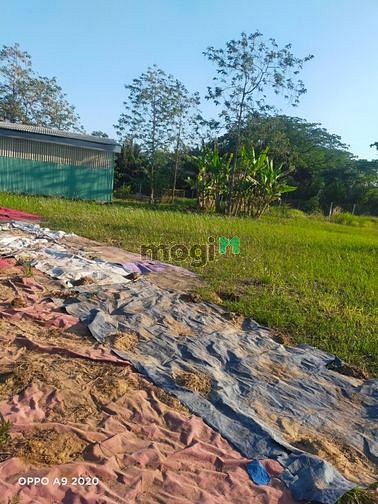 Hình ảnh Bán đất 2 mặt tiền Cầu Đình Long Phước quận 9 15000m2 172 tỷ