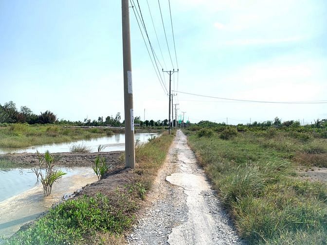 Hình ảnh Bán 1668m2 đất mặt tiền cách phà bình khánh cần giờ 1,5km, giá 4,4 tỷ