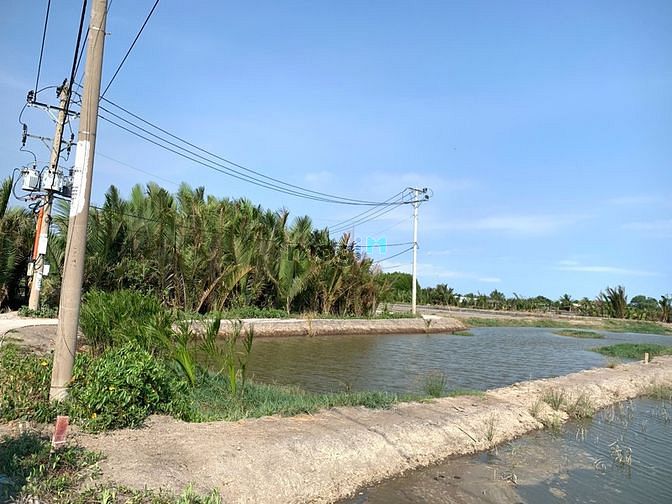 Hình ảnh Bán 1668m2 đất mặt tiền cách phà bình khánh cần giờ 1,5km, giá 4,4 tỷ