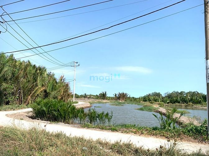 Hình ảnh Bán 1668m2 đất mặt tiền cách phà bình khánh cần giờ 1,5km, giá 4,4 tỷ