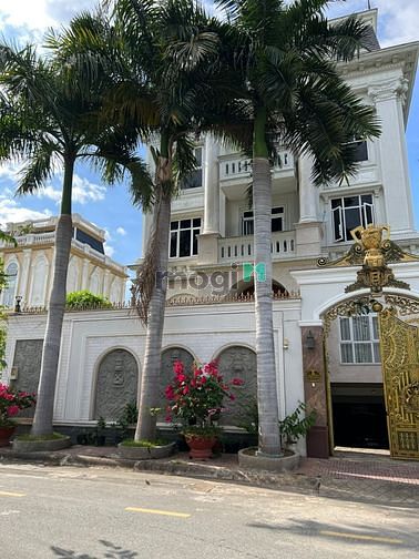 Hình ảnh cho thuê nguyên căn biệt thự full nội thất đẹp