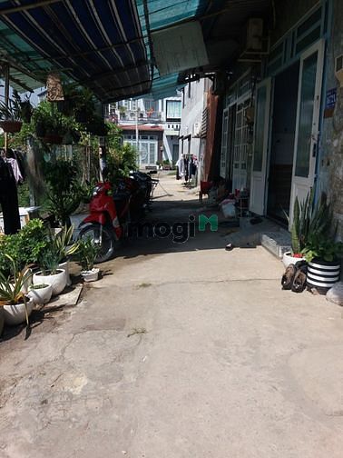 Hình ảnh cần bán đất 5 *19  Đường Lê Thị Ngay, Xã Vĩnh Lộc A, Bình Chánh