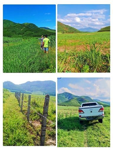 Hình ảnh Đất Cây Qh thổ FULL Giá nét căng