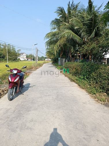Hình ảnh Đất Nóng Trở Lại Đất Dân Chính chủ Ninh Đa Ninh Hoà