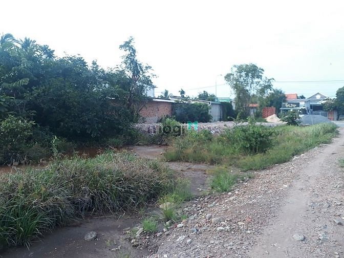 Hình ảnh Cho thuê đất trống 1200m2 Bình Nhâm, BD
