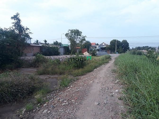 Hình ảnh Cho thuê đất trống 1200m2 Bình Nhâm, BD