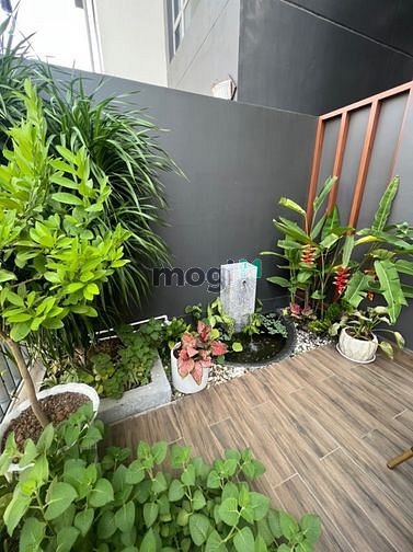 Hình ảnh Cho thuê Trang Chủ MB66.COM / Đăng Ký Tặng 66K 3PN(Có sân vườn) ESTELLA HEIGHTS