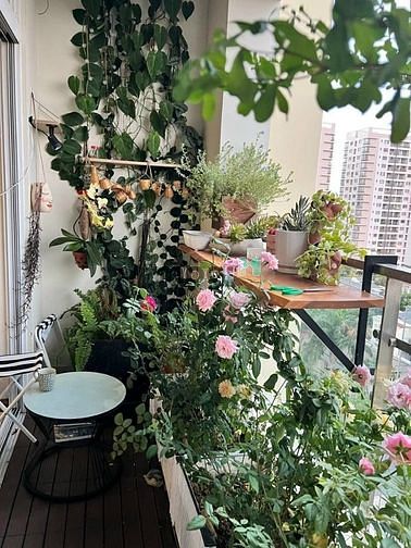 Hình ảnh [한국말 가능]  Cho thuê  Trang Chủ MB66.COM / Đăng Ký Tặng 66K cao cấp Riverside Residence, PMH, Q7