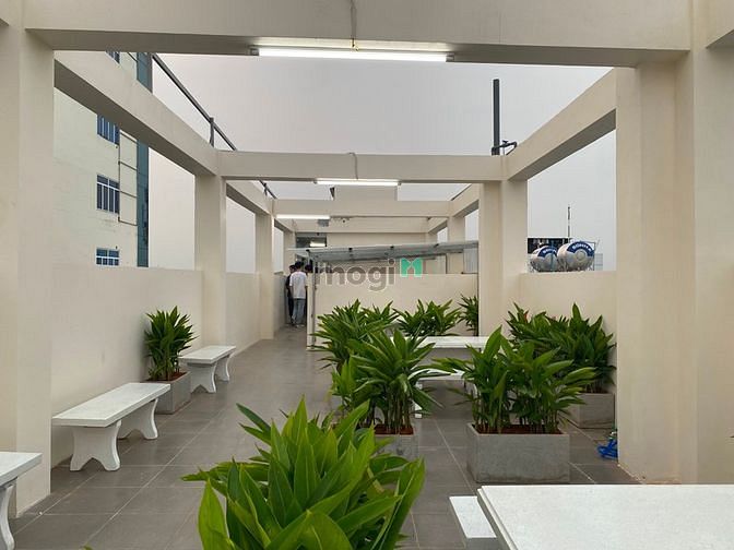 Hình ảnh Duplex Ban Công - Cửa Sổ Full Nội Thất Gần Sân Bay