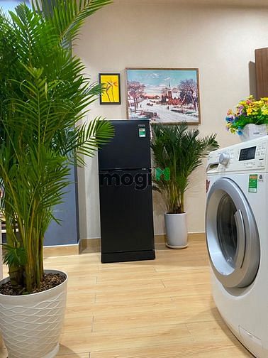 Hình ảnh Cho thuê Trang Chủ MB66.COM / Đăng Ký Tặng 66K 1 Phòng Ngủ riêng biệt Quận 1 sát Chợ Tân Định