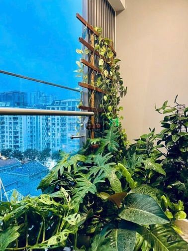 Hình ảnh Cho thuê nhanh Trang Chủ MB66.COM / Đăng Ký Tặng 66K Midtown 2PN, View đẹp, nội thất sang trọng