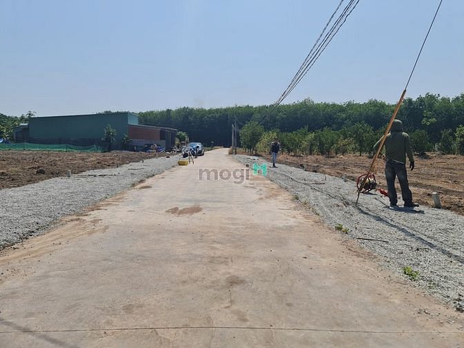 Hình ảnh Đất thổ cư Minh Lập Chơn Thành Bình Phước