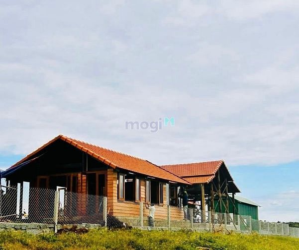 Hình ảnh Đồi Hoa Gió - Sổ riêng, thổ cư - 15 nền còn lại - Giá Trang MB66.COM Chính Thức - MB 66 Uy Tín