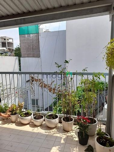 Hình ảnh Cư Xá Lữ Gia P15 Q11 Hẻm 5m 33m2 3 tầng Công nhận đủ.