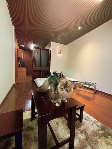Hình ảnh 🏝 Căn Hộ studio full nội thất gần ngã 4 Hàng Xanh