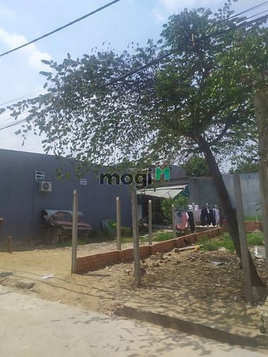 Hình ảnh Nhà đất hẻm số 10, Linh Xuân ,TD 45M2, Chỉ 850 Triệu