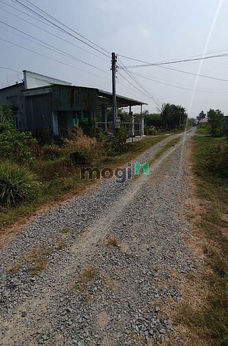 Hình ảnh Đất Dương Minh Châu Cách Trường Học 100m