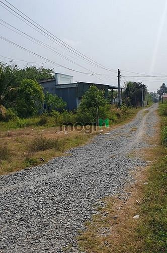 Hình ảnh Đất Dương Minh Châu Cách Trường Học 100m
