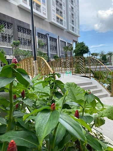 Hình ảnh Cho thuê Trang Chủ MB66.COM / Đăng Ký Tặng 66K cao cấp 2pn 2wc 67m2 q7 riverside 7tr