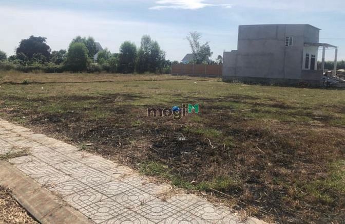 Hình ảnh ❗️BÁN GẤP❗️100m2 Thổ cư ĐƯỜNG NHỰA 45M - SHR - Khu vực giá đất tăng 💠