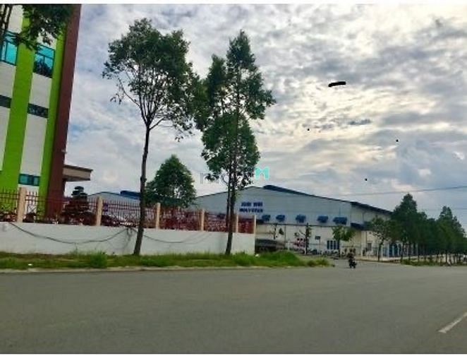 Hình ảnh 💠Khách bỏ cọc THANH LÍ NHANH - lô đất Đường Nguyễn Hoàng giáp QL1A💠