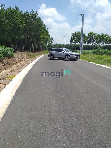 Hình ảnh ❗️CHỈ 16-18tr/m2 BÁN GẤP đất thổ cư❗️SHR - Cạnh KCN phát triển ❗️