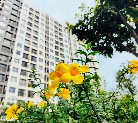 Hình ảnh Chính Chủ Cho Thuê Căn Hộ 2PN Dọn Nội Thất Cơ Bản