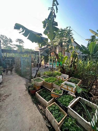 Hình ảnh Bán Lô Đất 97m2 Giá Chỉ 580Triệu Tp Biên Hoà