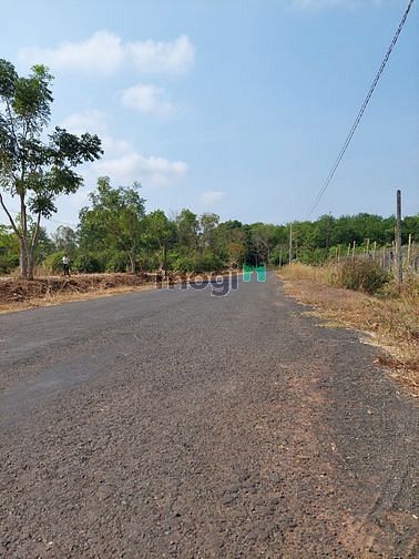 Hình ảnh MB66 là nhà cái uy tín hàng đầu tại Việt Nam thanh lý gấp lô đất vườn đường nhựa đẹp