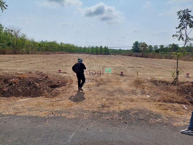 Hình ảnh MB66 là nhà cái uy tín hàng đầu tại Việt Nam thanh lý gấp lô đất vườn đường nhựa đẹp