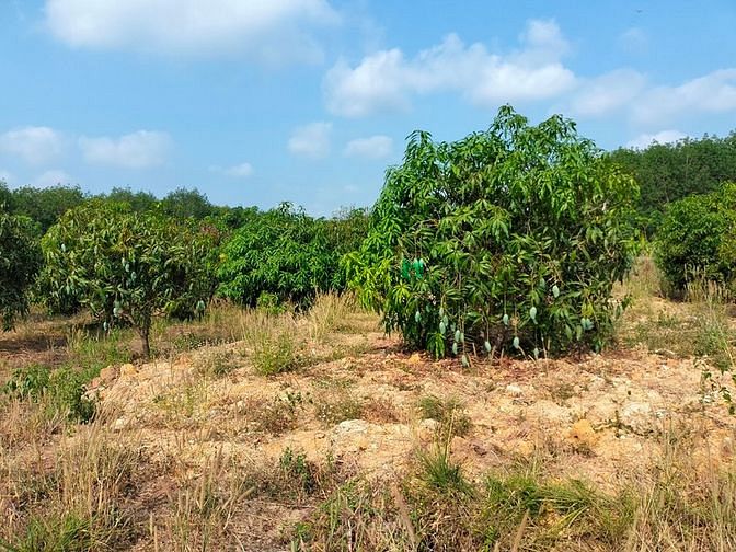 Hình ảnh Tin sốt dẻo: Đất vàng trao tay nhận ngay ưu đãi