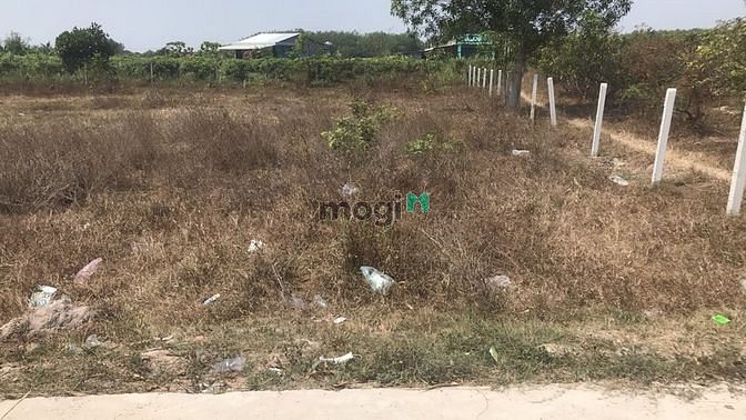 Hình ảnh Tôi bán đất thổ Tây Ninh 193m2 .Cần bán gấp vì ngộp