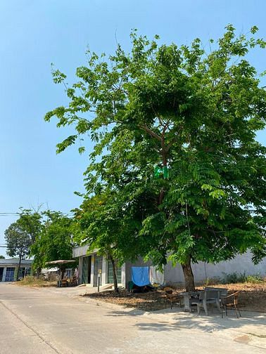 Hình ảnh Chủ cần vốn bán 300m2 đất thổ cư ngay ĐH Việt Đức